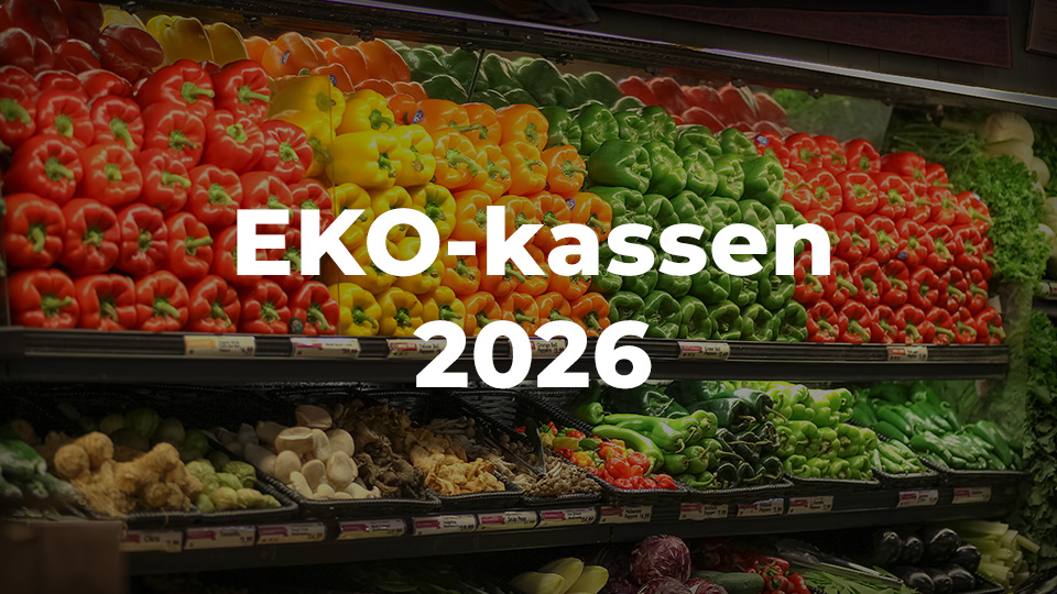 Ny stor prisundersökning: så mycket skiljer det på EKO-kassen mellan kedjorna